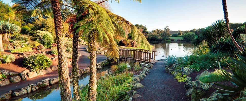 The Gardens Bed And Breakfast Auckland Zewnętrze zdjęcie
